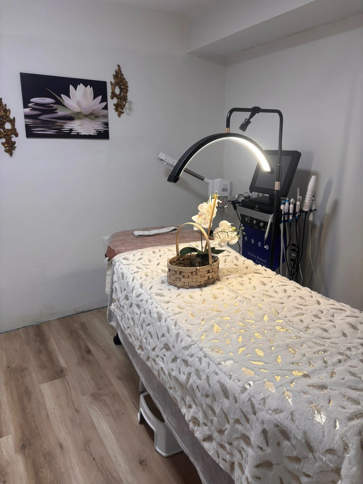 HydraFacial treatment room at Princess Spa by Nayab, Mississauga